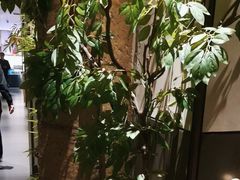 -百富源·海鲜辽菜(张士店)