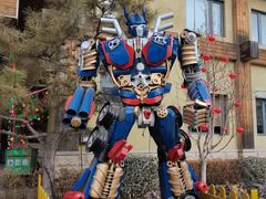 -南宫五洲植物乐园