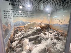 -山东省科技馆(新馆)