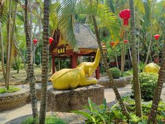 -西双版纳傣族园