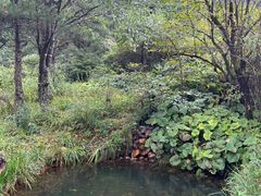 -宜春明月山维景国际温泉度假酒店
