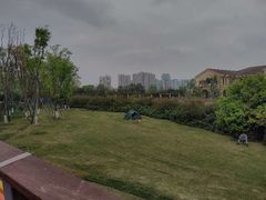 -府河摄影公园