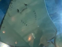 -石家庄海洋公园