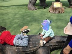 -南通洲际绿博园