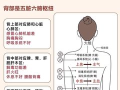 -万松园美食街