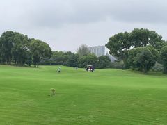 -银涛高尔夫练习场(徐泾店)