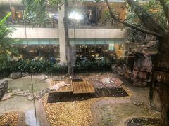 -麒麟中餐厅·经典粤菜·地道菜式老字号(广州长隆酒店)