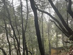 -灵顺寺
