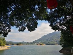 -广州市流溪河国家森林公园