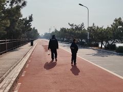 -日照海滨国家森林公园
