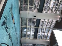 -一兆韦德健身(慧芝湖店)