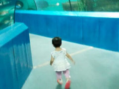android_upload_pic-洛阳龙门海洋馆