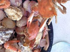 -前王院•巧克力海鲜市集餐厅(万平口店)