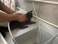 -沐沐家宠物(成寿寺店)