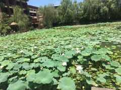 -天赐温泉