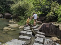-广州白江湖森林公园