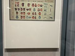 -巴音郭楞蒙古自治州博物馆