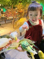 -酷嗒动物文化乐园(cutezoo西溪乐天城店)