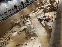 -洛阳周王城天子驾六博物馆