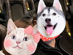 -SFC上影影城(北京大兴龙湖天街IMAX店)