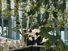 -大连森林动物园