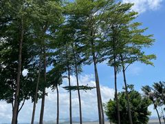 -深圳湾公园(南山区)