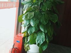 -张钰强中医正骨推拿连锁(唐家人才公寓店)