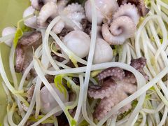 芥末白灼八爪鱼-贞姨美食·老字号海鲜大排档