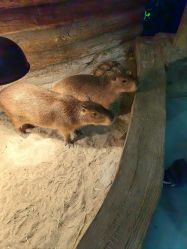 -Zoolung Zoolung动物主题公园(海信广场店)