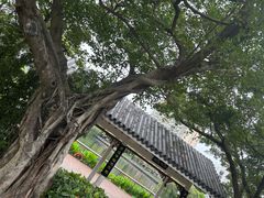 -四海公园(南山区)