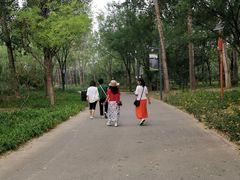 -东郊湿地公园