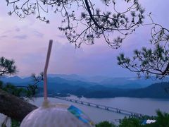-千岛湖天屿景区