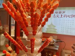 -和禄德冰糖葫芦