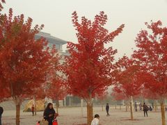 -哈工程图书馆