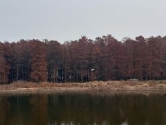 -四明湖