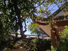 -东江渔村·古典园林·30年粤菜老字号(太和店)