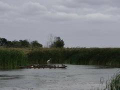 -盐城丹顶鹤湿地生态旅游区