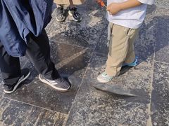 -赵州桥景区
