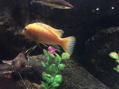 -苏州海洋馆