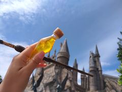 -奥兰多环球影城