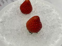 -红雀围·海鲜火锅(陆家嘴中心店)