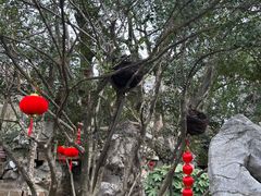 -绮园景区