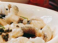 清蒸石斑鱼-翔雄农庄