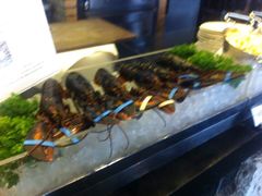 -唐拉雅秀酒店-西锦汇空中BBQ·思创餐厅