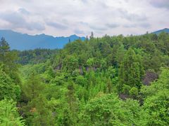 -梭布垭石林景区