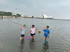 -碧海金沙