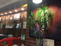 -时尚殿堂·颜SPA