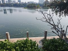 -南宁南湖公园