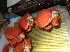 android_upload_pic-星伦多 自助料理(圆融店)