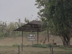 -深圳野生动物园